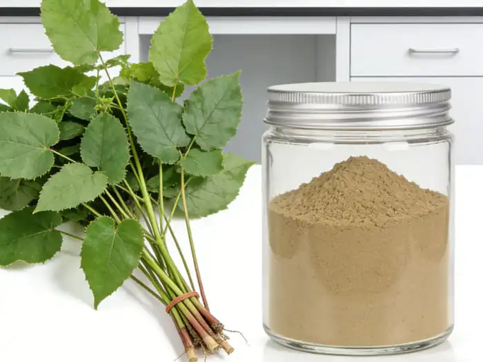 Icariin Content Explained: Epimedium Extract Powder Guide